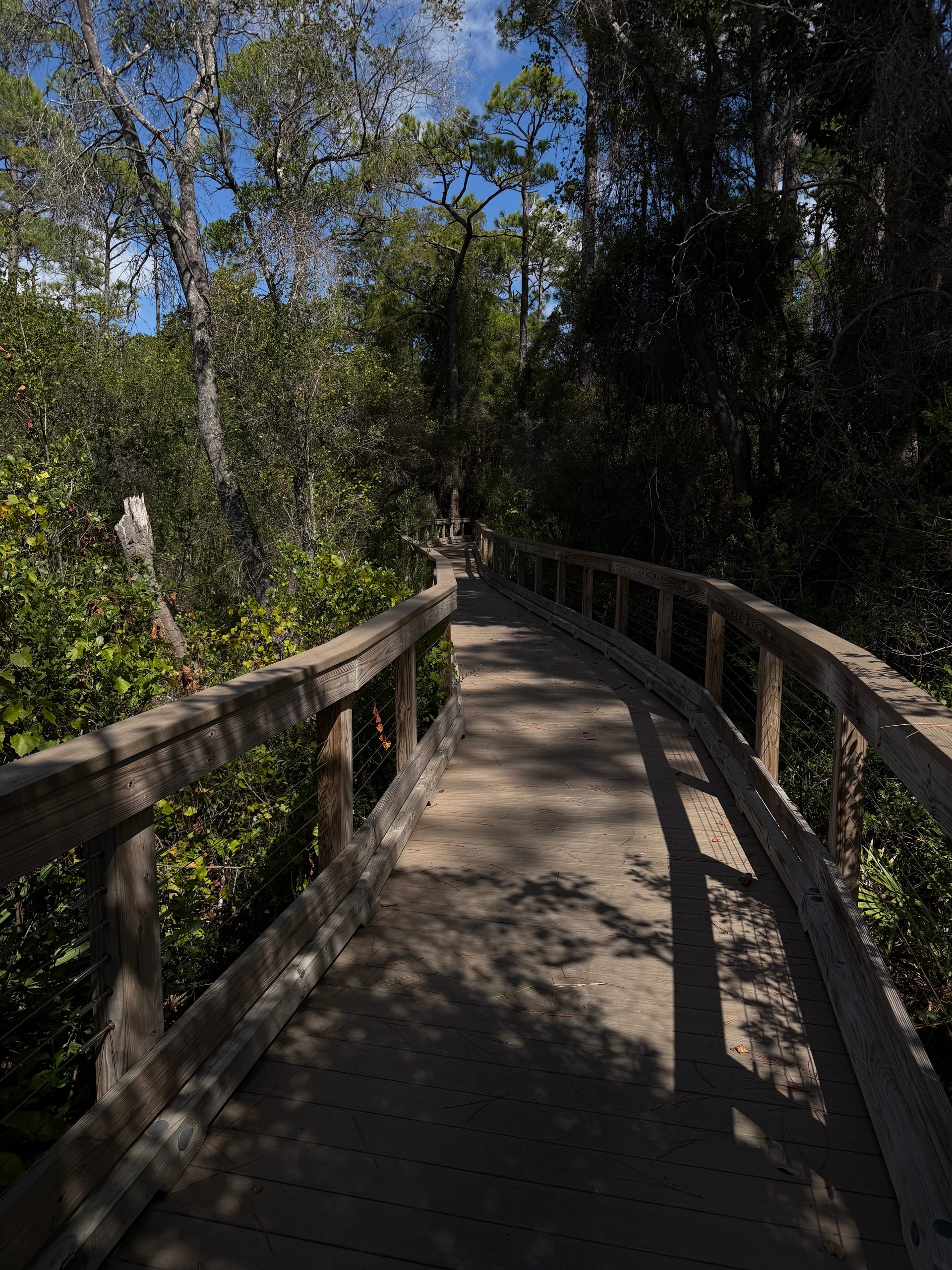 Wooden boardwalk trail through the Nature Preserve near new Alys Beach development