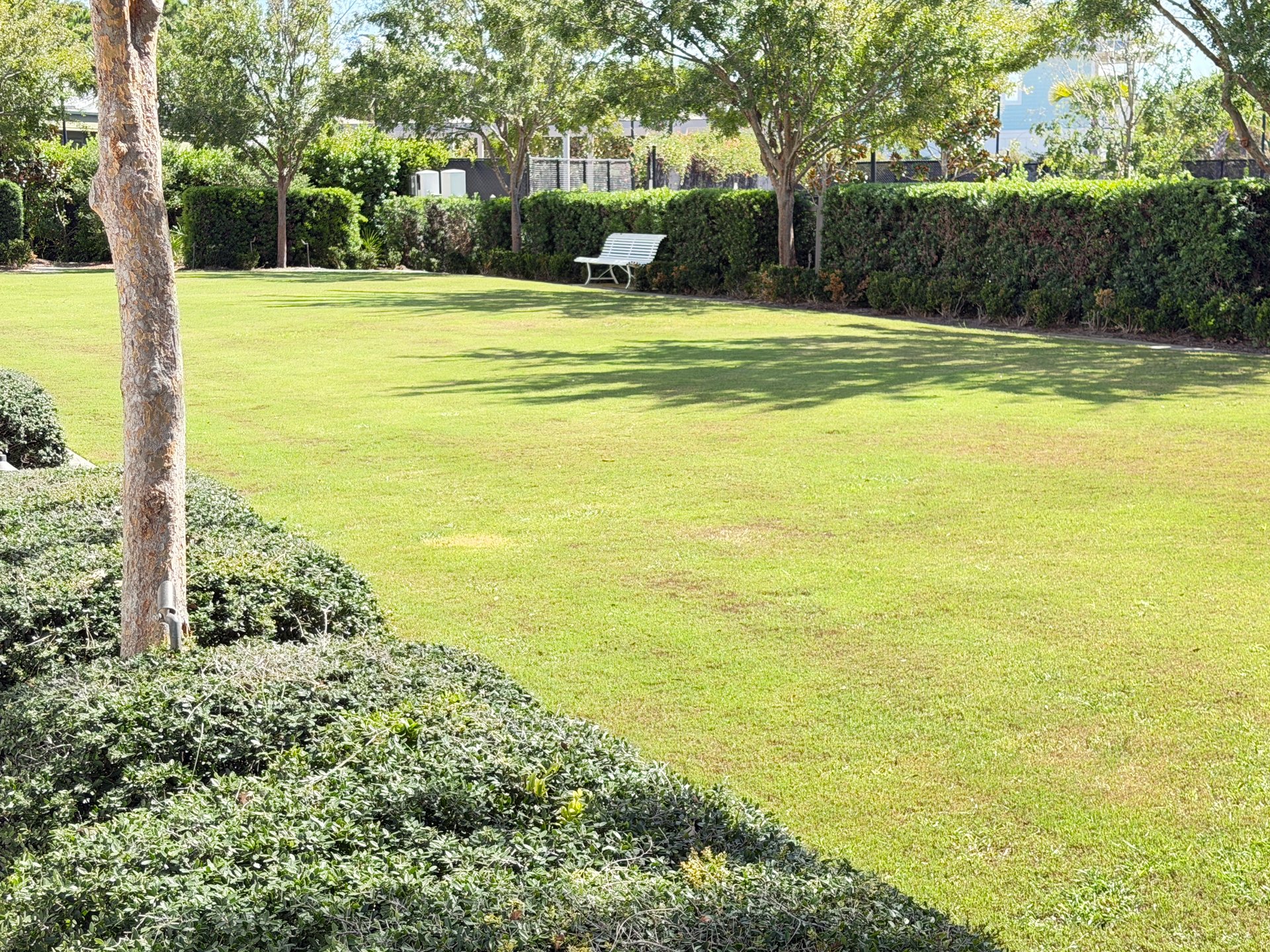 Landscaped residential area and pedestrian setting in Alys Beach Florida