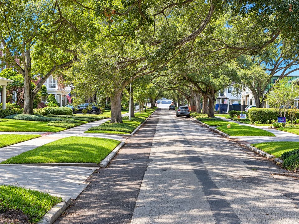 Tree-lined residential street in New Suburb Beautiful, South Tampa