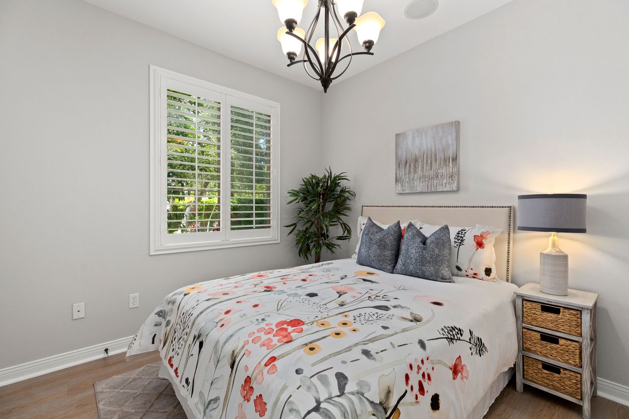 181 Sanctuary photo 10
