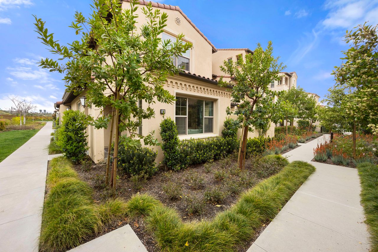 181 Elkhorn photo 6