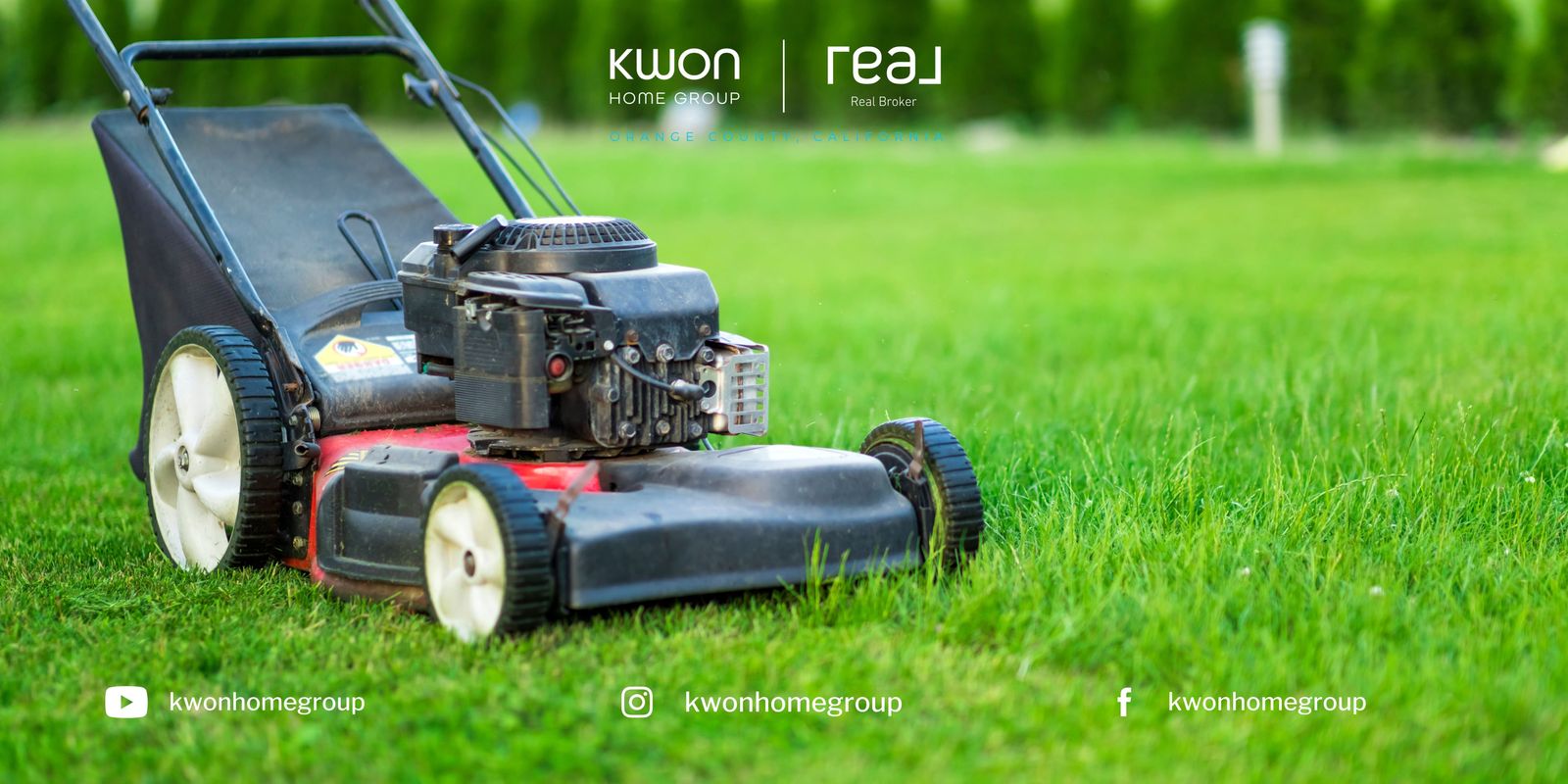 Essential Summer Lawn Care Tips for a Lush, Green Oasis