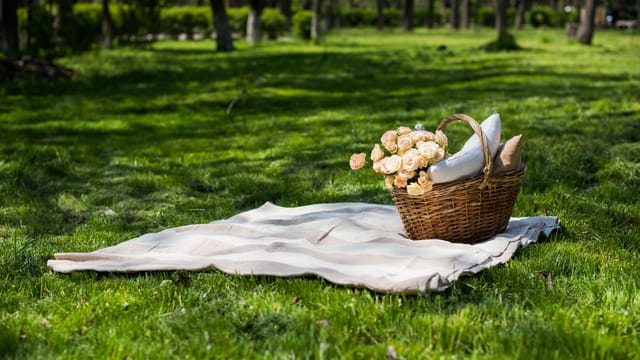 Embracing Spring in Portola Springs &amp; Great Park: Outdoor Trails, Parks, and Family-Friendly Perks