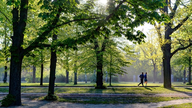 Fresh Air, Open Spaces &amp; Good Neighbors: The Wellness-Centered Lifestyle of Irvine's Great Park