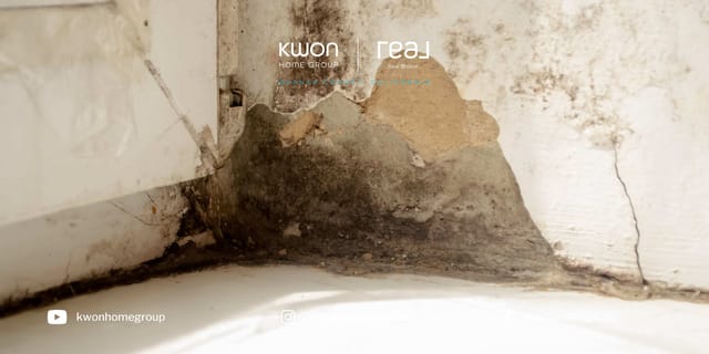 Landlord Duties: How Soon Must They Fix Mold Problems?