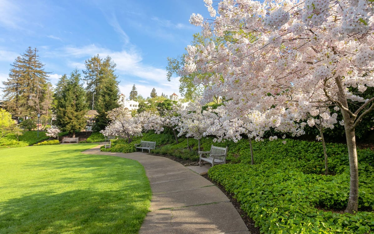 Tree-lined residential street and distinctive homes in Piedmont, California