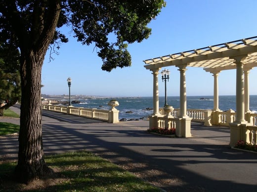 Life in Foz do Douro, Porto's seaside district