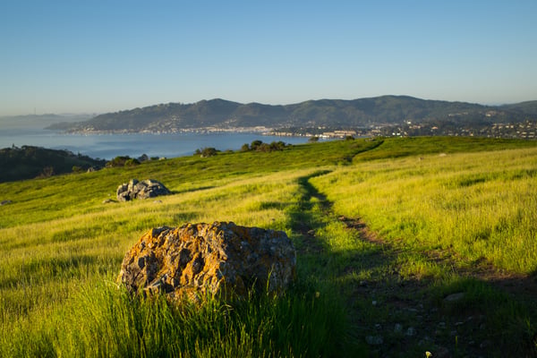 Corte Madera homes for sale