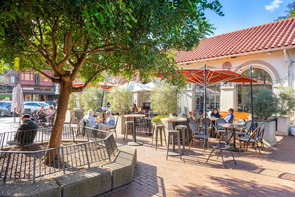 Mill Valley homes for sale