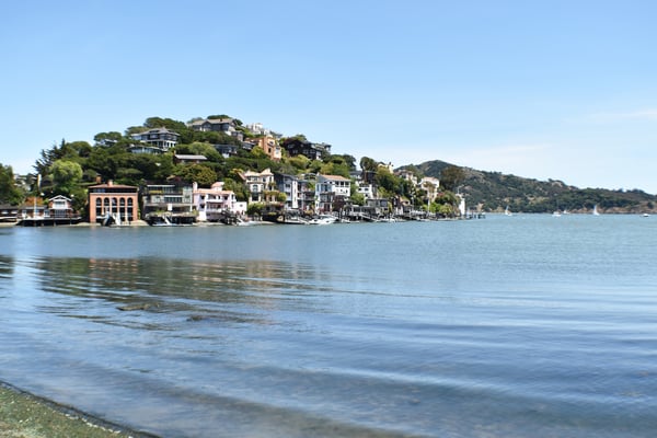 Belvedere homes for sale