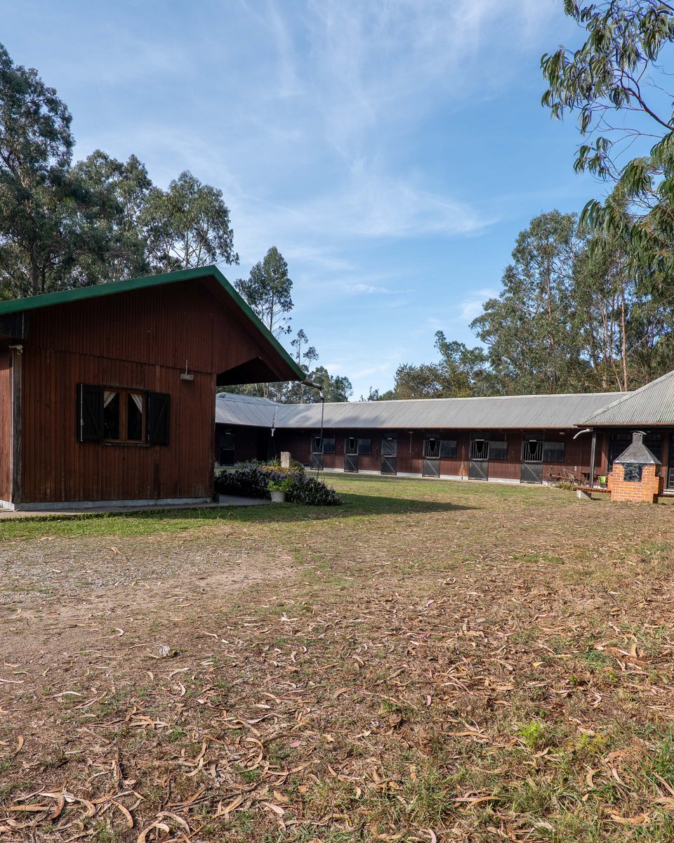 Equestrian estate in Lavra, with stables and a covered riding arena, 800 metres from the beach