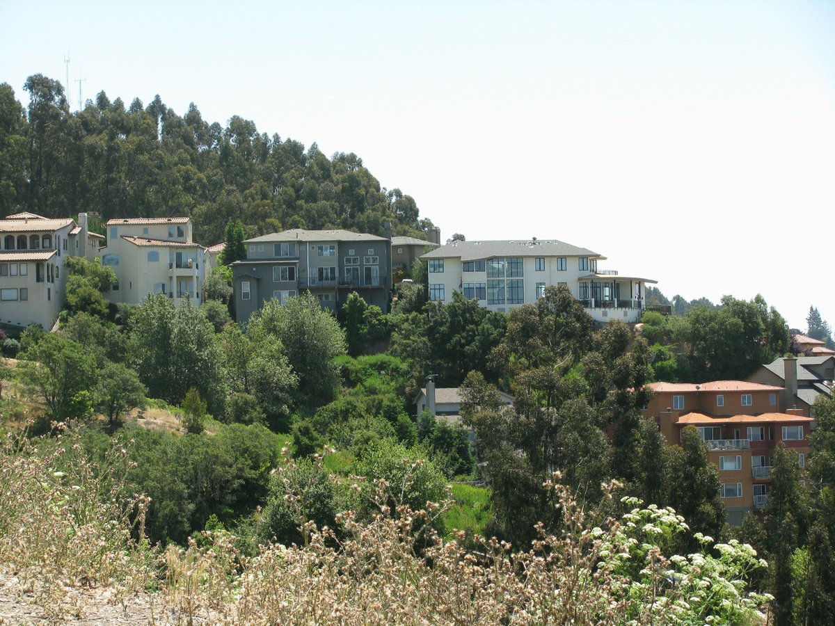 Homes on a wooded hillside in the East Bay