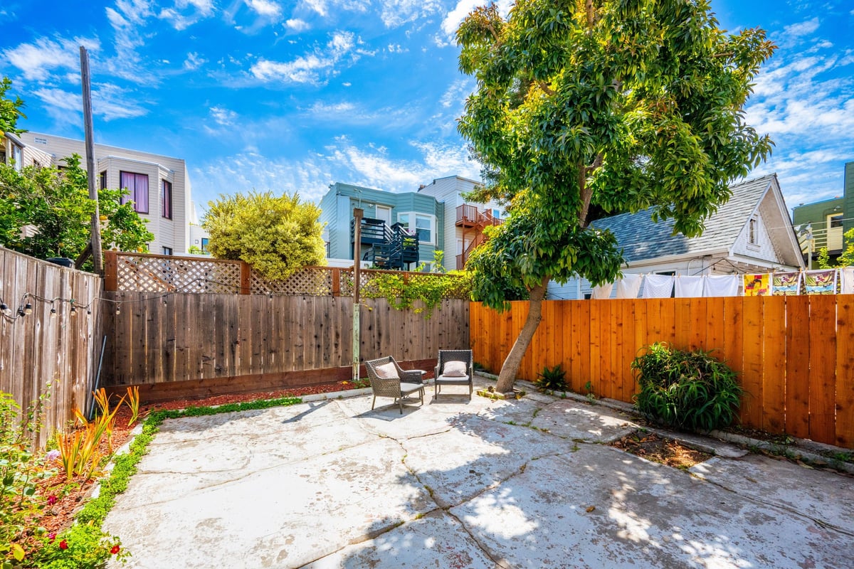 Sunny backyard with mature tree at 2269 Bryant Street Mission District San Francisco