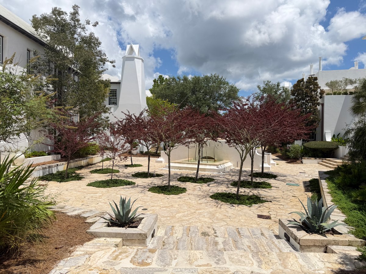 Landscaped courtyard with small trees and white architecture in Alys Beach