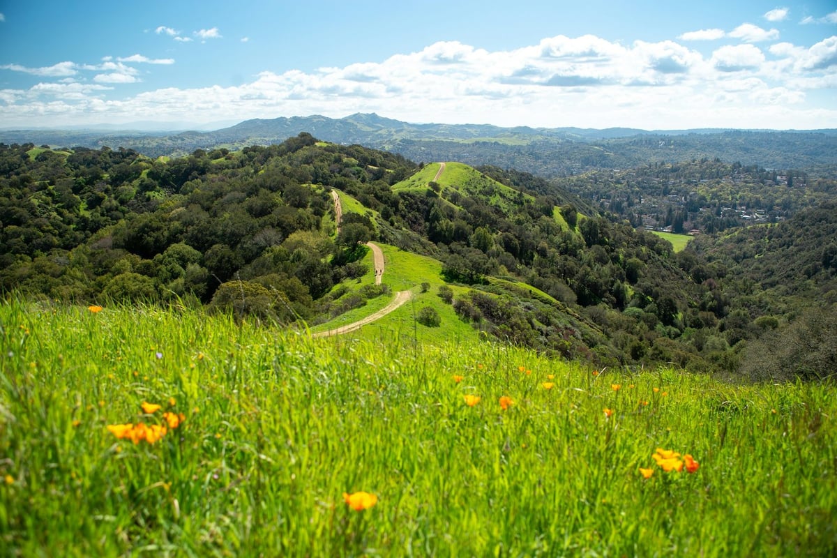 Green open hills and a trail in the Lamorinda area