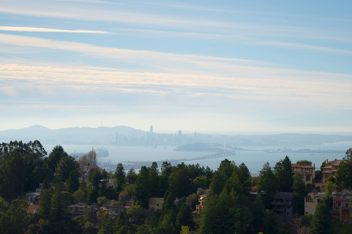 View over the treetops from the Berkeley and Oakland hills toward San Francisco Bay