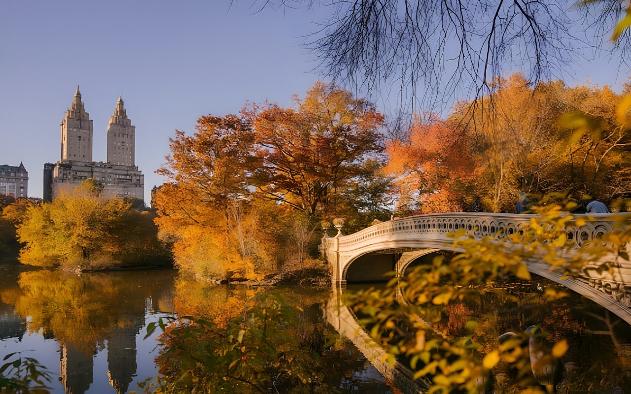 Weekly Manhattan & Brooklyn Market: 10/24