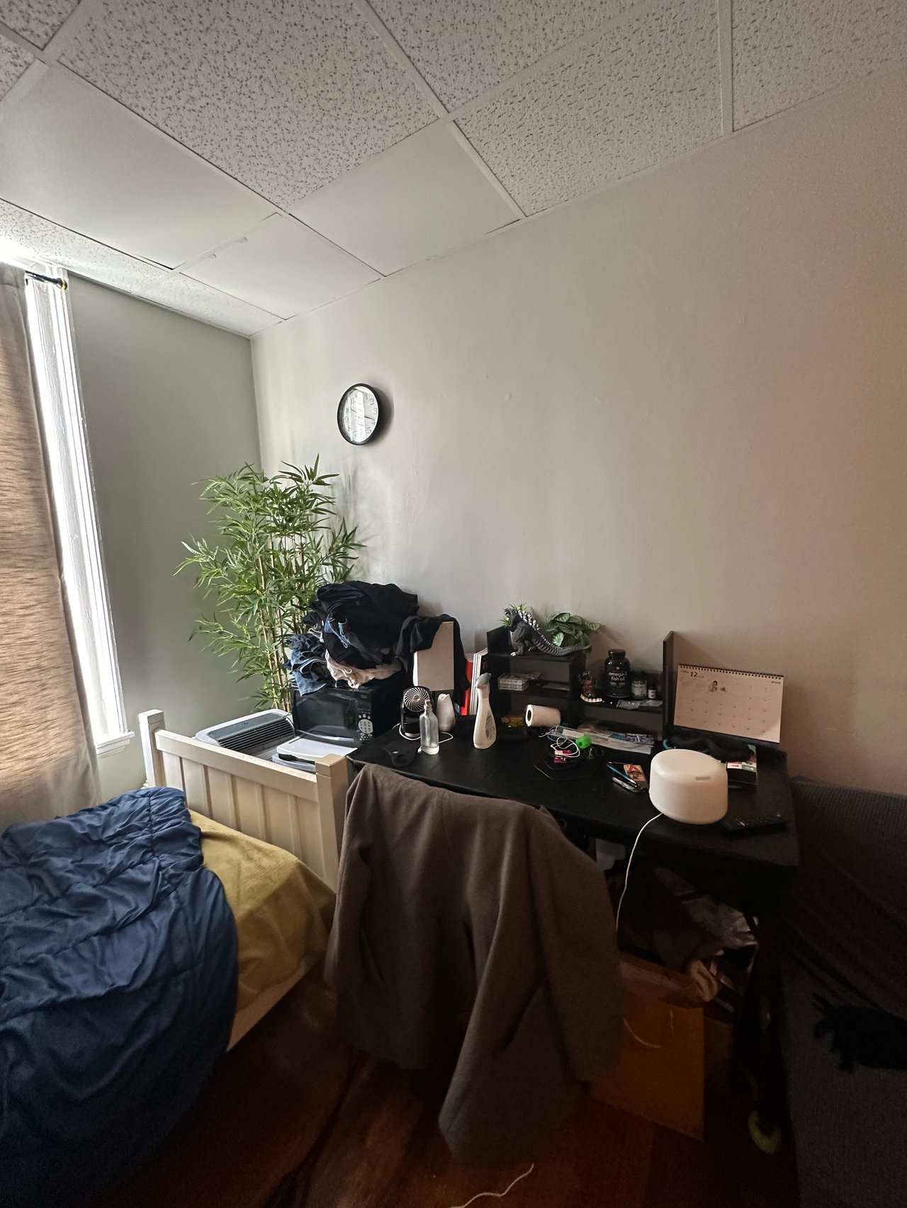 505 Beacon Street # 15