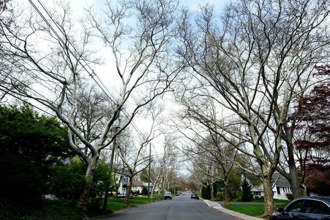REAL ESTATE AGENT IN RUTHERFORD NJ