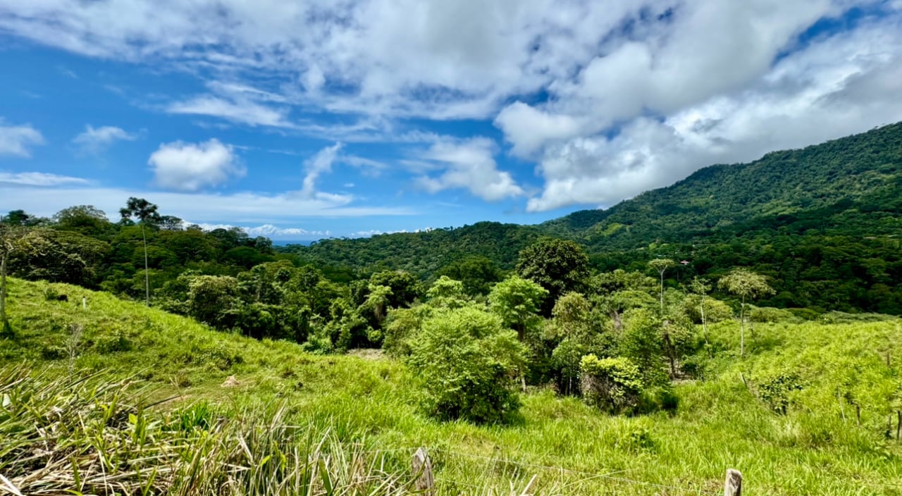 Spring and Waterfall!  3,2 Acres lot in Uvita Mountains 