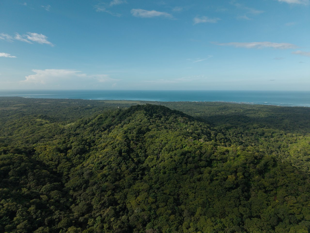 Mikado Natural Lodge | Turnkey Eco Lodge with Ocean Views & Expansion Potential in Guanacaste