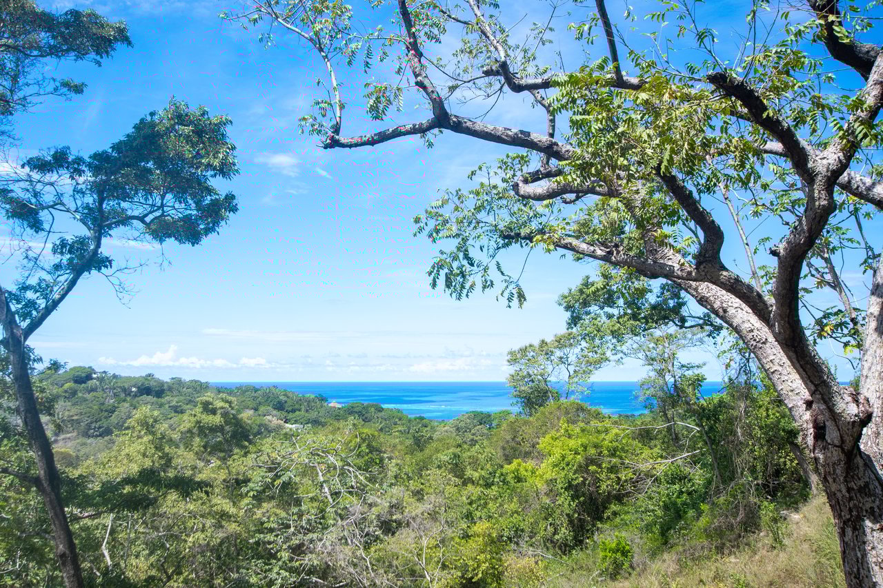 Tortuga Hills, Lot # 7