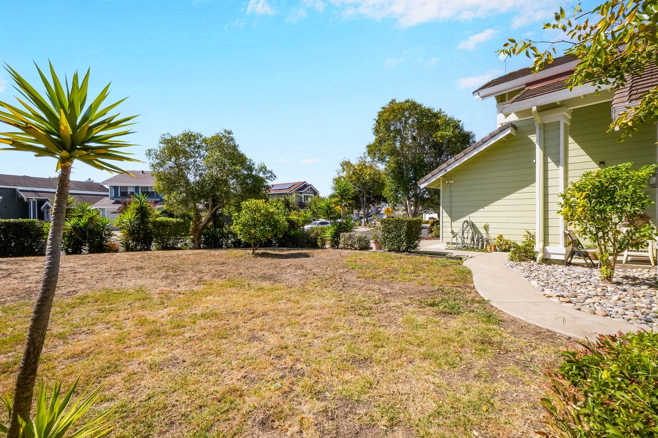 Home's side yard with a dry lawn, curved walkway, shrubs, and light green exterior.
