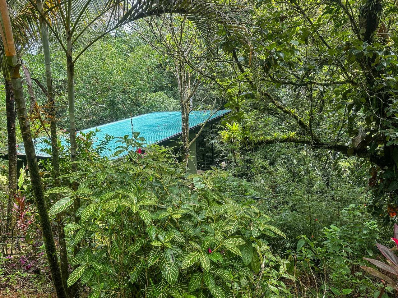 Ojochal Jungle Retreat for Sale with River, Pool, and Income-Generating Casitas