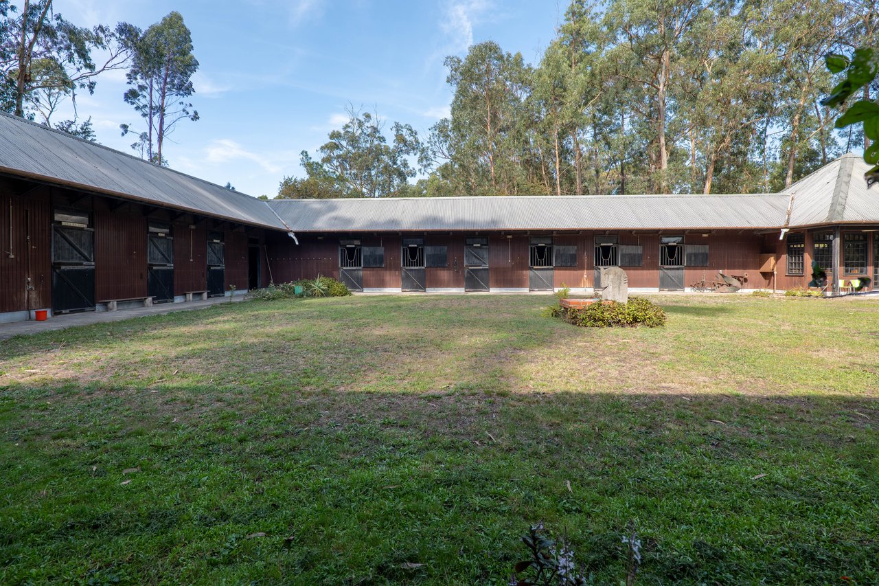 Equestrian Estate in Lavra with 13,000 m² just 800 Meters from the Beach