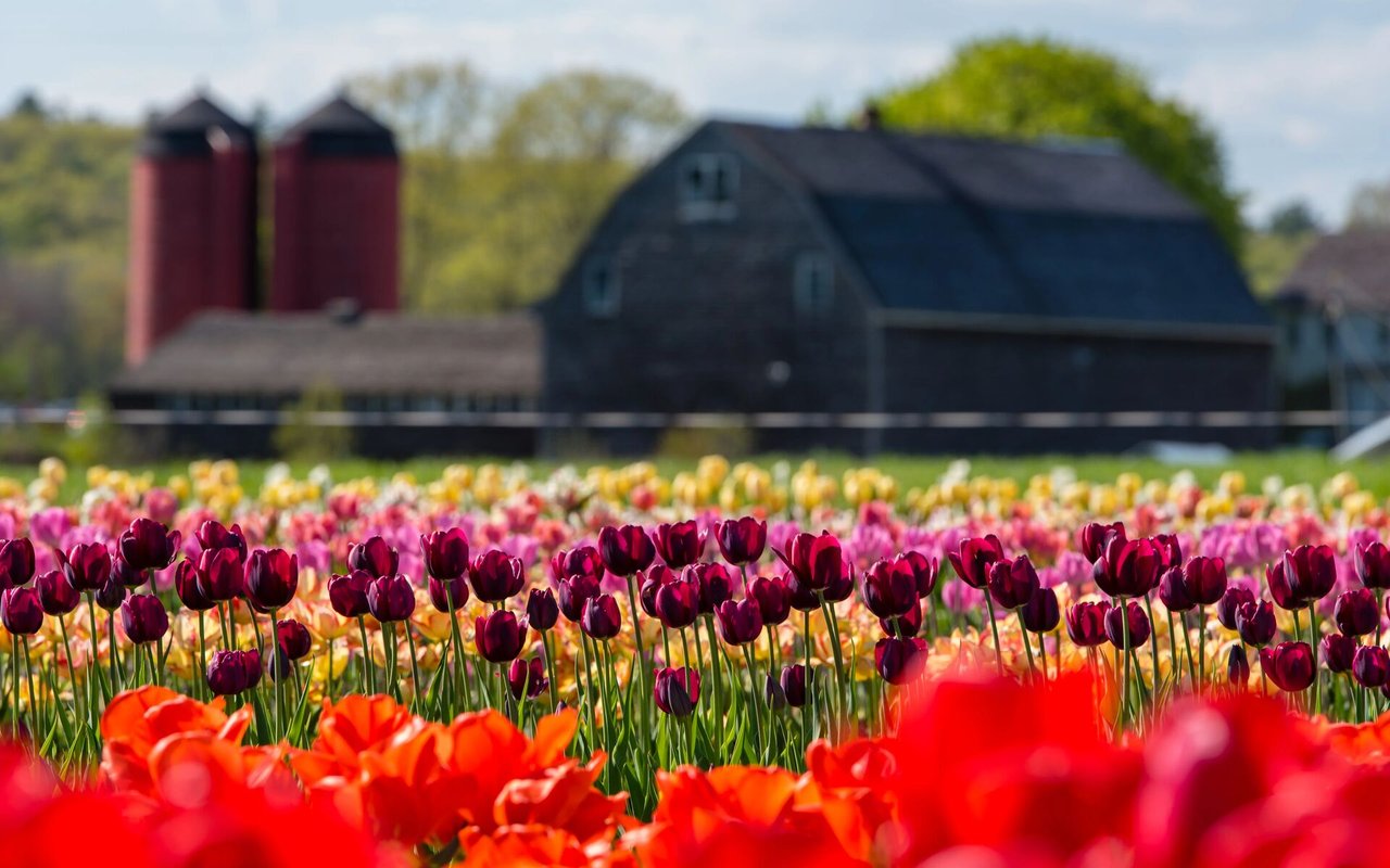 Spring in Rhode Island: What to Do?