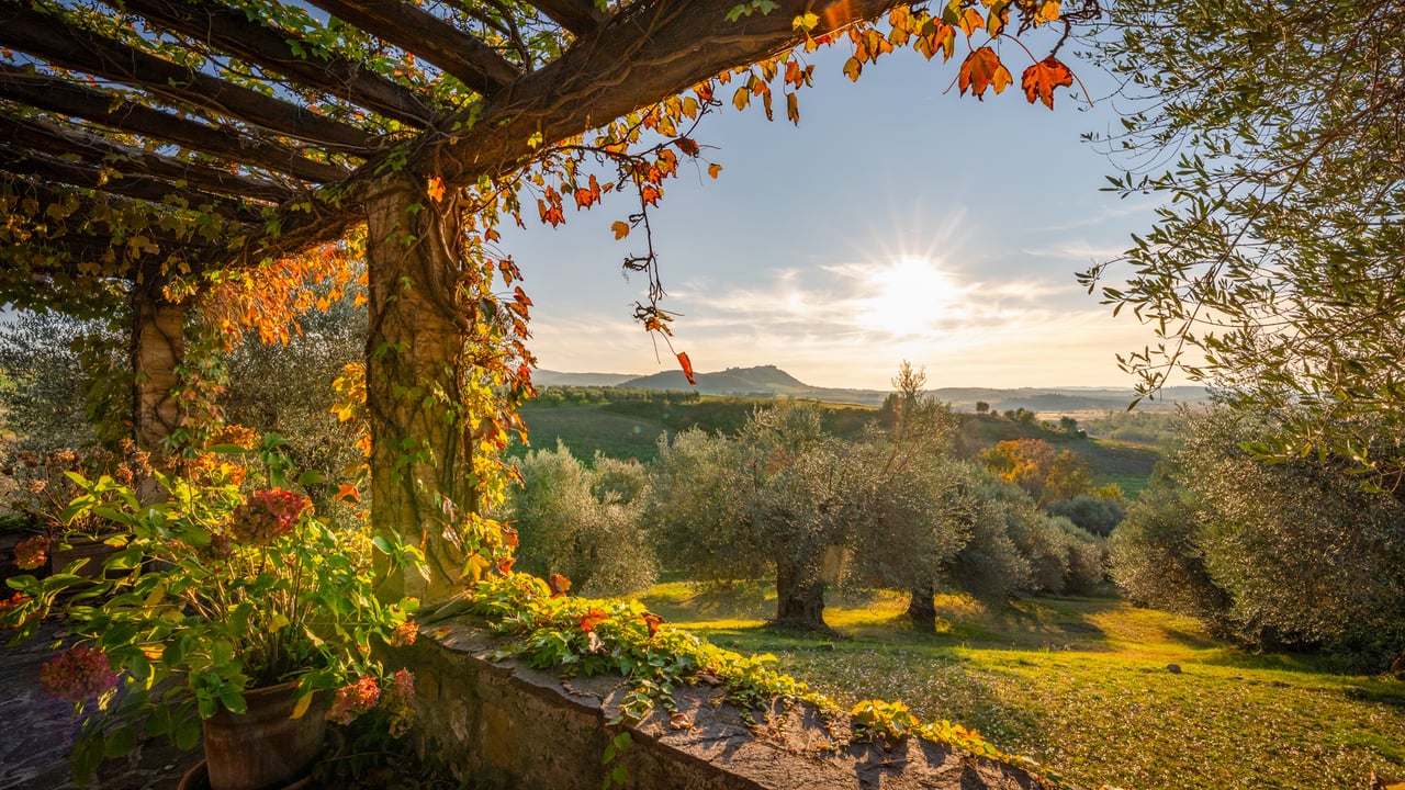 POGGIO COLOMBA