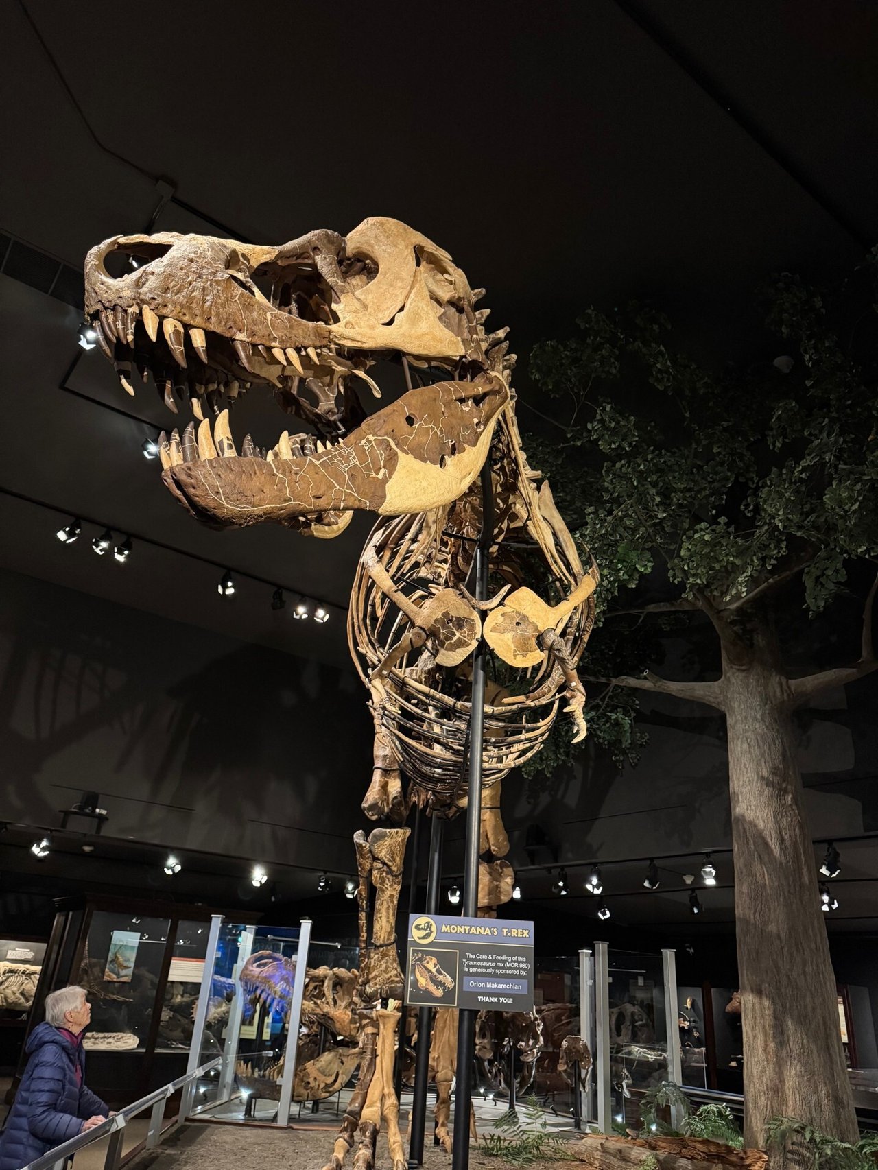 Big Sky in Winter | January 2026