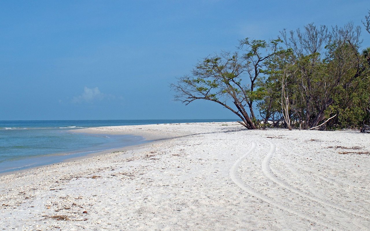Barefoot Beach