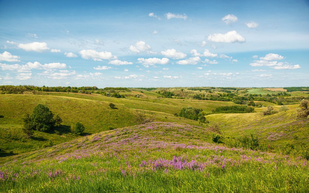 Bull Valley