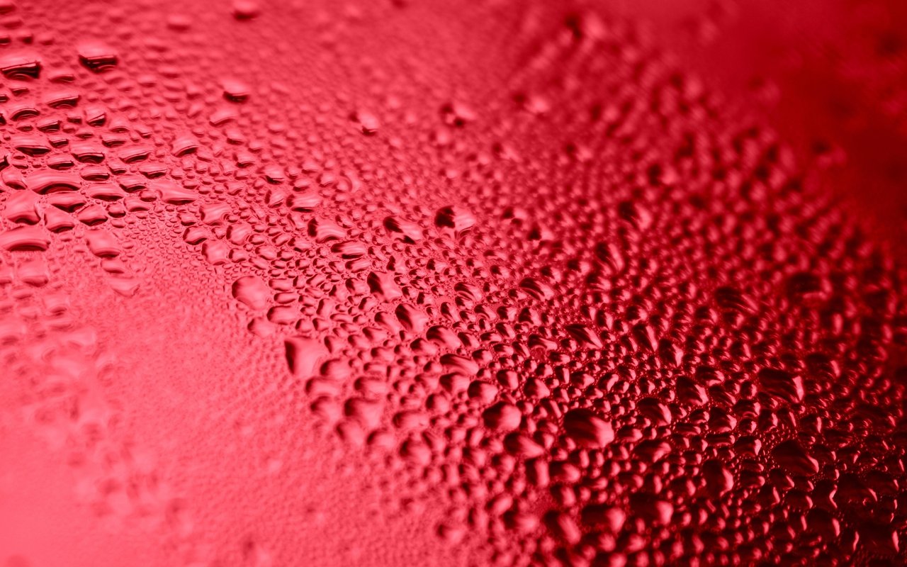 World Water Day 2023