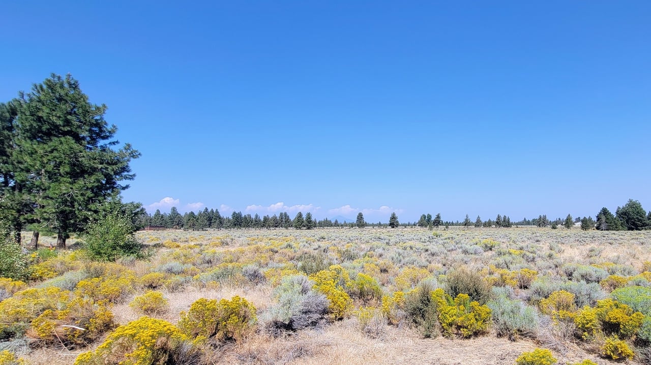 Just Listed: Discover the Tranquil Charm of Ponderosa Cascade!