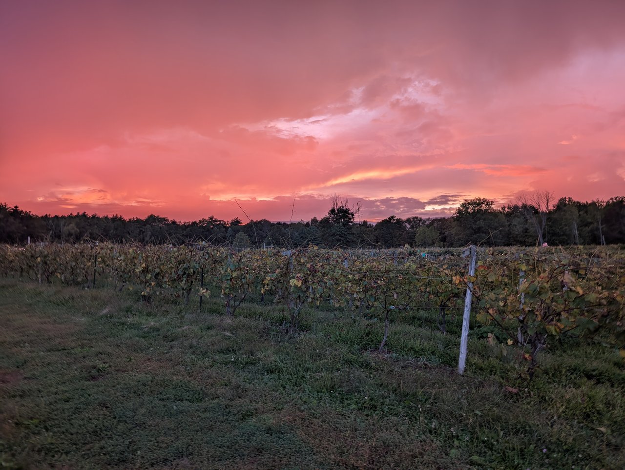 Key Conservation Organizations in the Hudson Valley