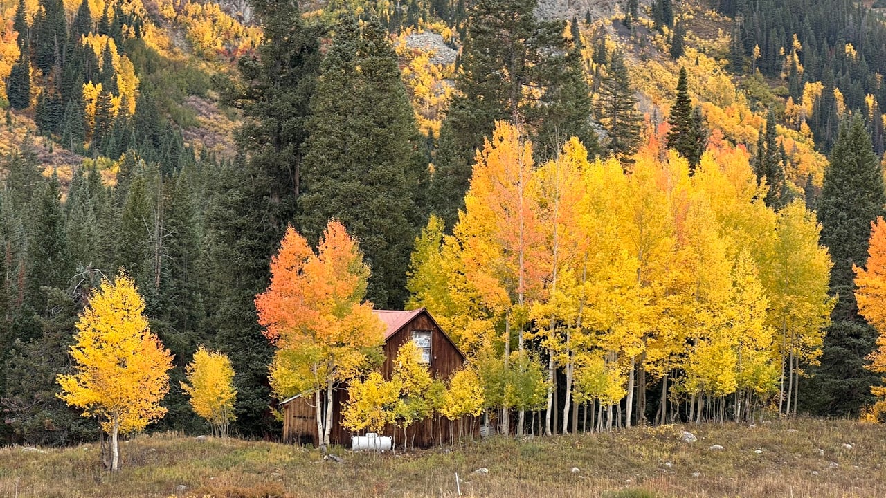 Kebler Pass in the Fall: Colorado’s Golden Wonderland
