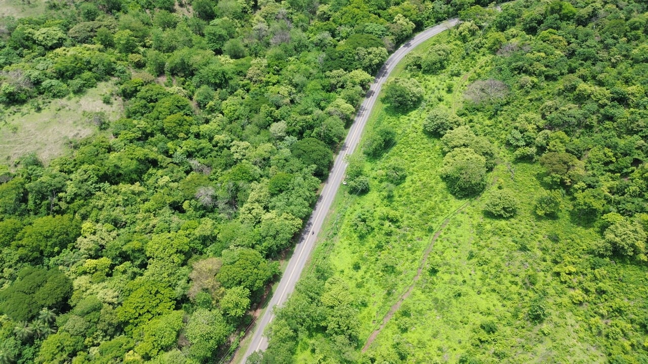 MAIN ROAD PARCEL - COYOLITO 