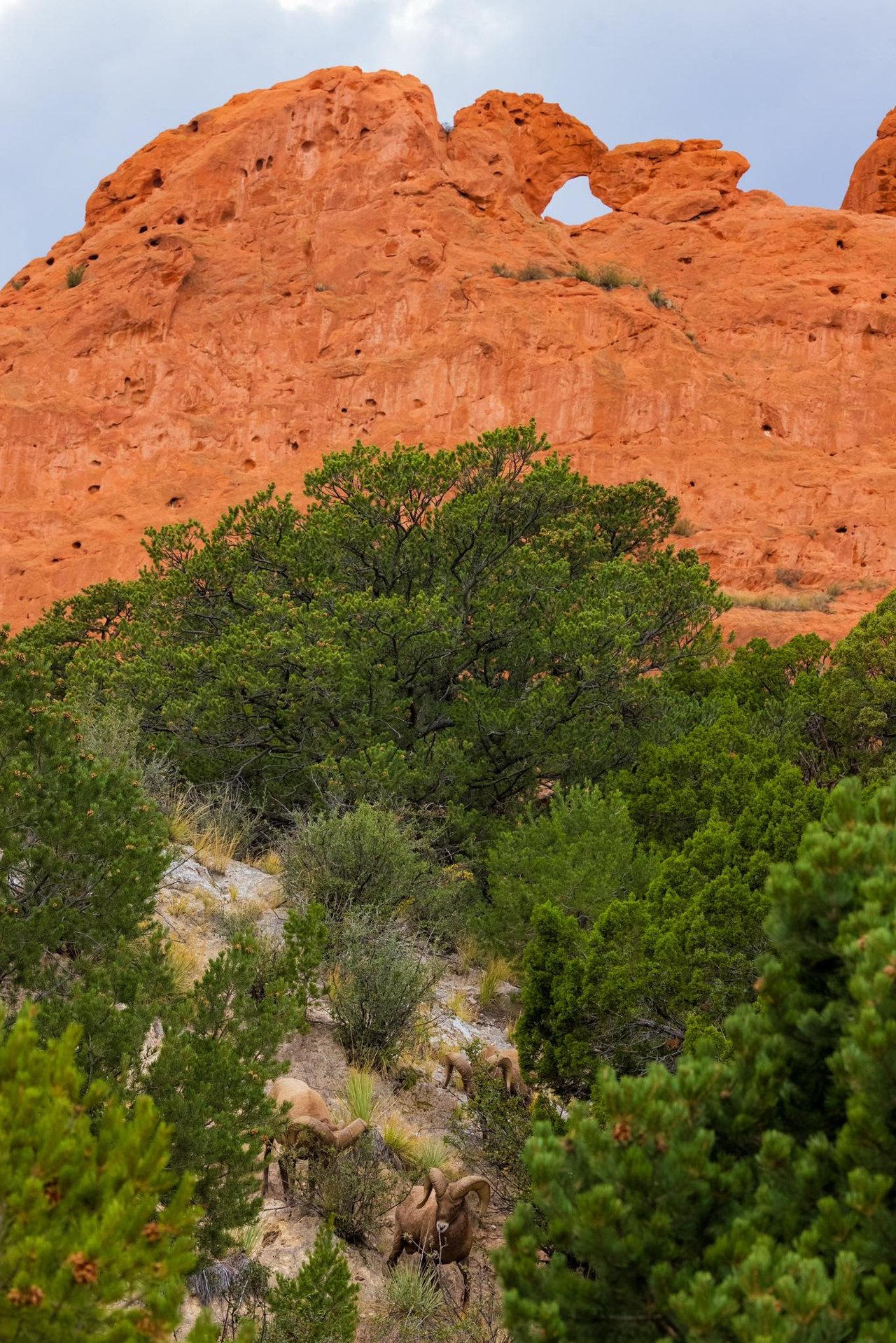 Garden of the Gods: Where Colorado Springs Comes Alive