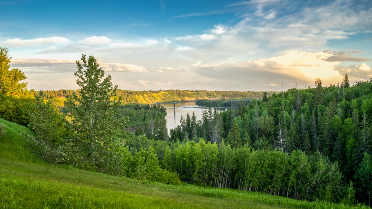 Edmonton Real Estate Market Statistics August 2025