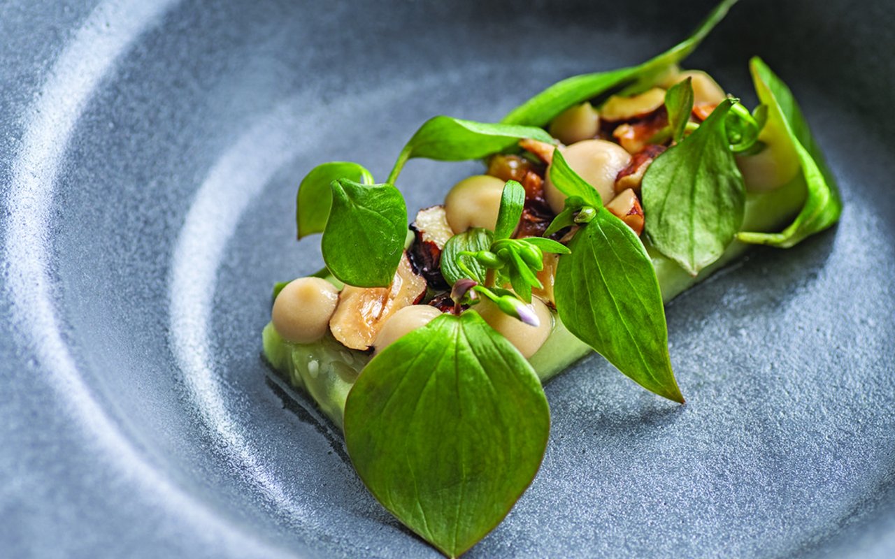 Making Plants the Star of the Plate