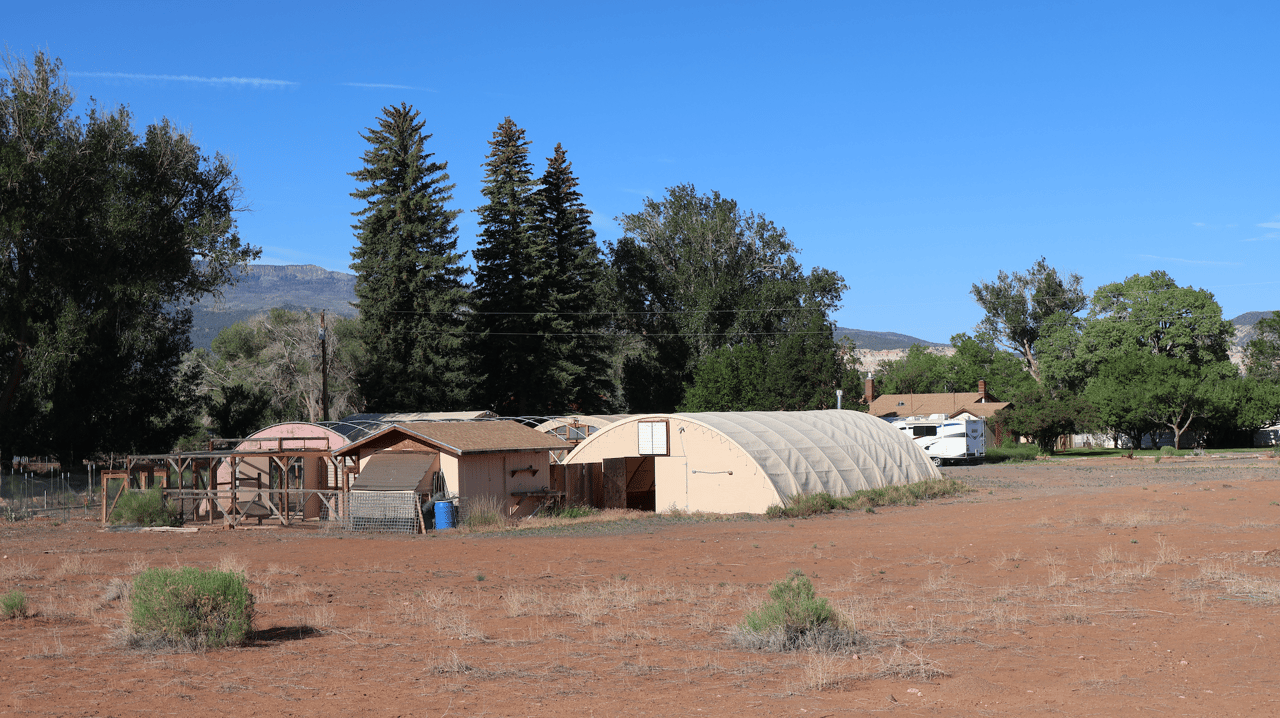 Torrey Land & Greenhouses