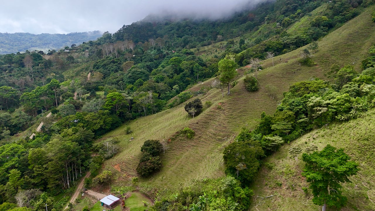 Gorgeous Land in San Luis Morete - Uvita - Over 17 Acres