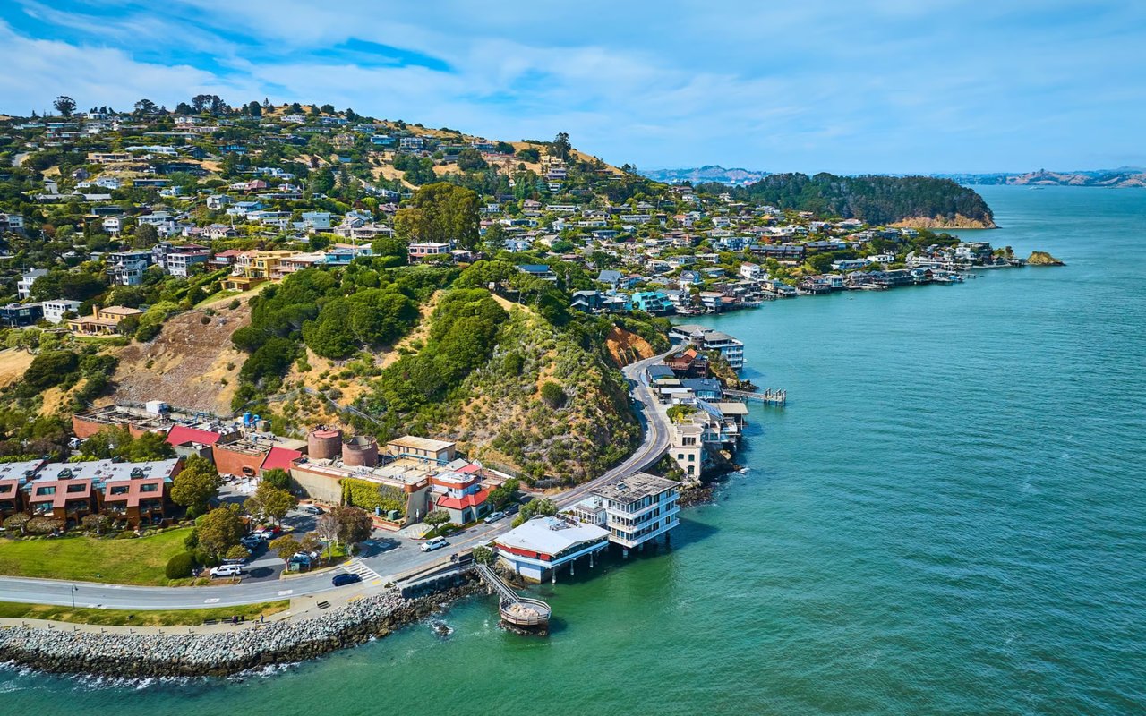 Tiburon