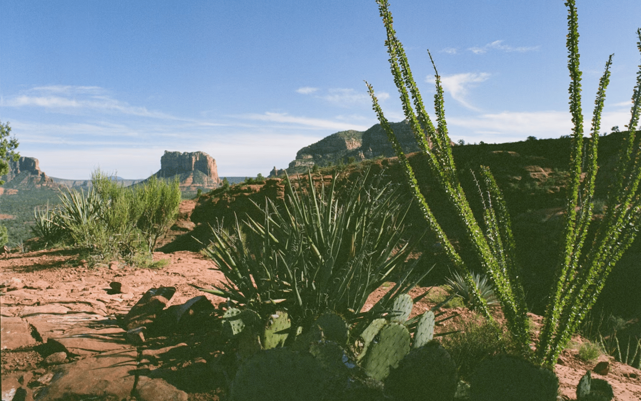 The History Behind Gilbert’s Agritopia Roots