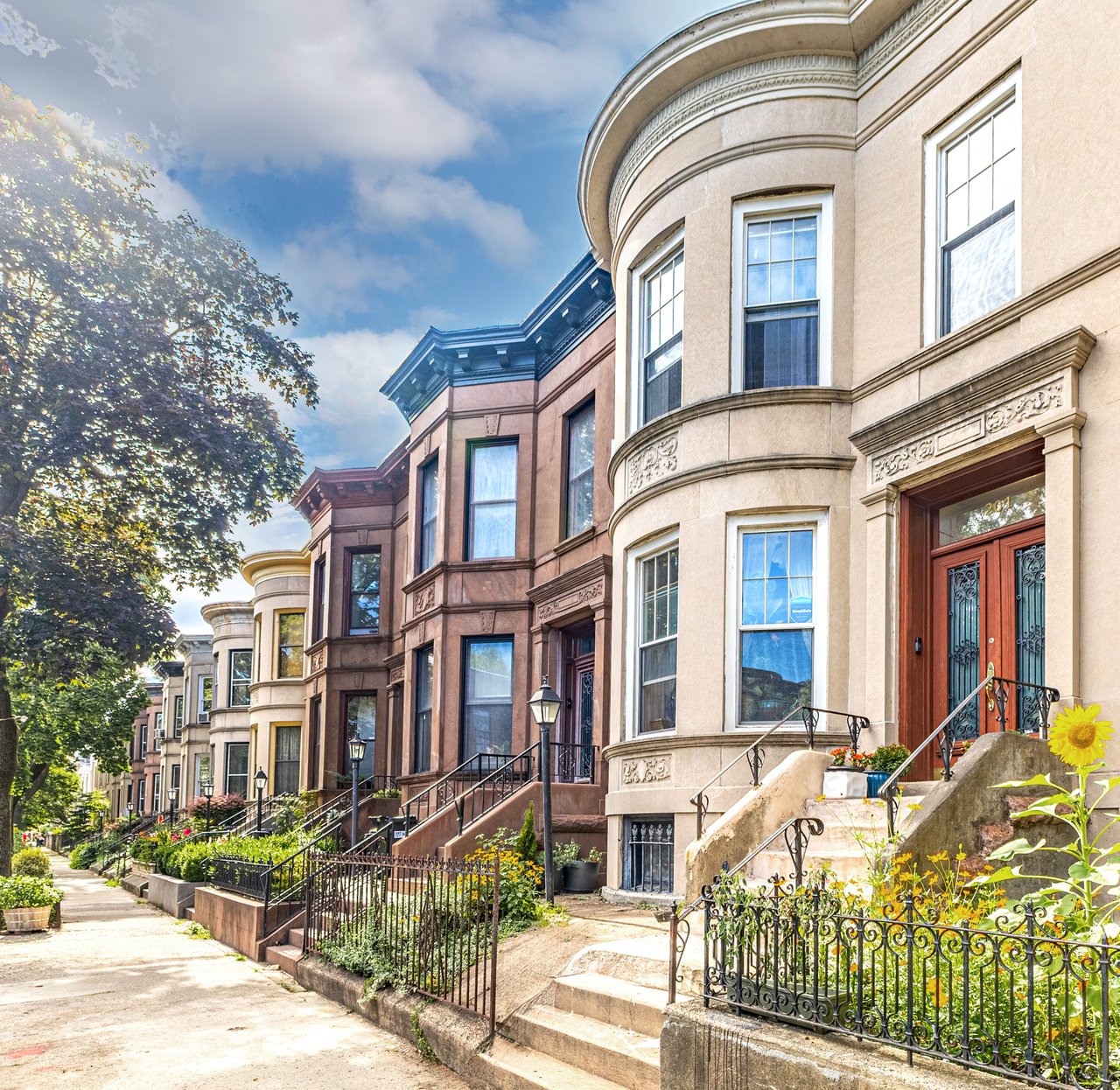 Historic brownstones, townhouses, and multifamily homes along Troy Avenue in Prospect Lefferts Gardens, Brooklyn.