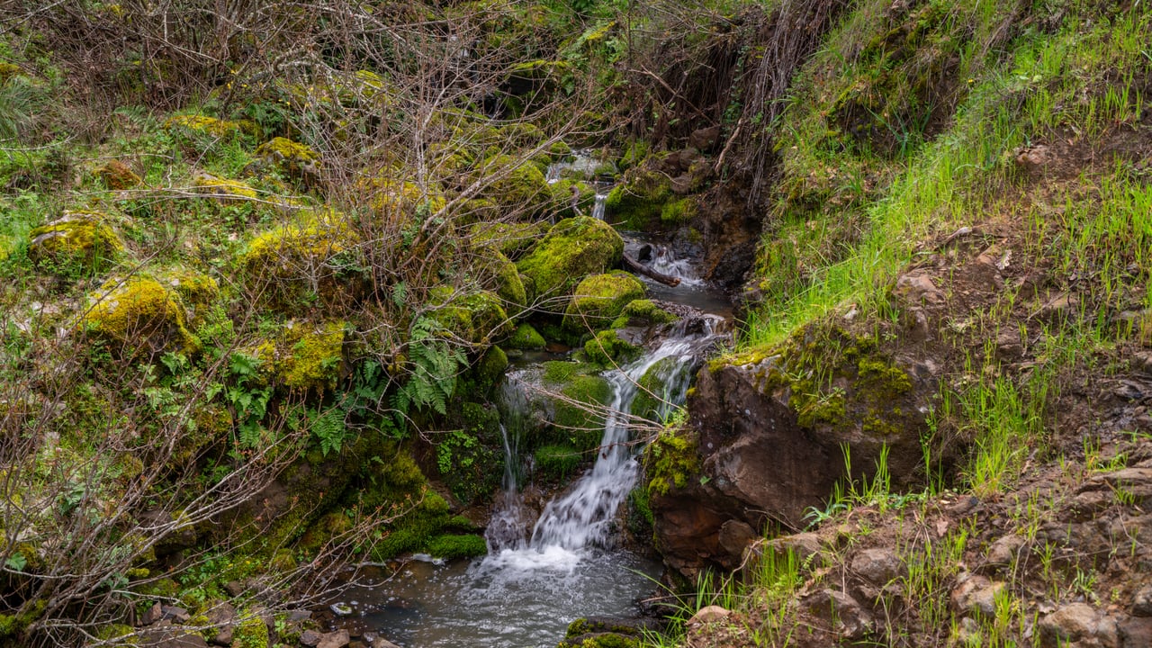 Leslie Creek Retreat