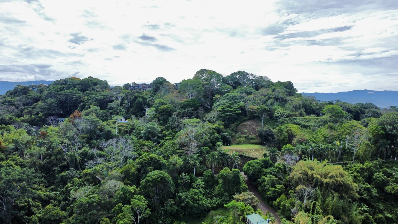3.6 Acre Ocean View, Near the Beach & Cool Mountain Elevation