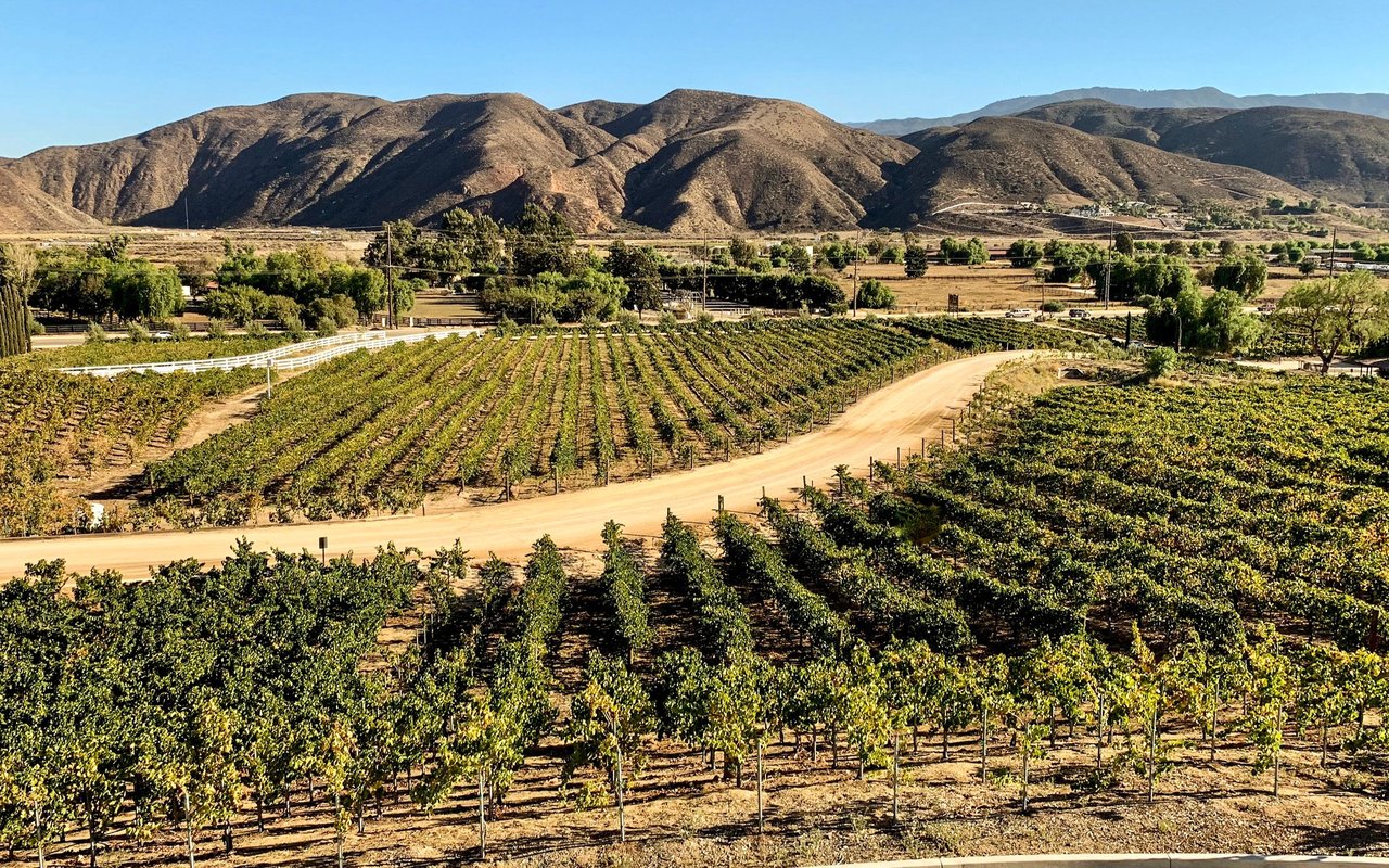 Temecula